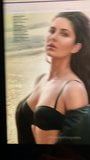 Трибьют для Katrina Kaif с молоком snapshot 3