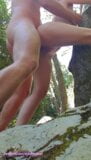 Creampie, baise en plein air snapshot 8