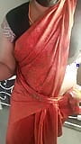 Saree Mami Seducing snapshot 4