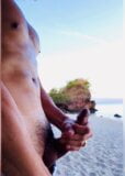 Jerking my cock by the sea snapshot 8
