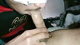 Sesso gay pakistano con ragazzo bollente - pompino con sborrata snapshot 16