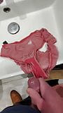 Pantie wank snapshot 2