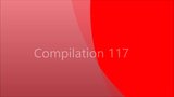 Compilation 117 snapshot 1