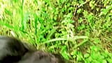 Sexy desi girl fucked in the jungle snapshot 9