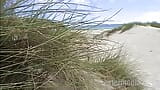 Quick wet blowjob at the beach snapshot 1