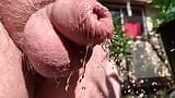 Uncut cock pissing through wet foreskin in the garden snapshot 15