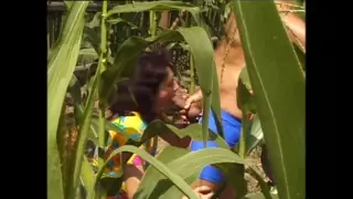 Vintage erotica ni onlayn tomosha qiling