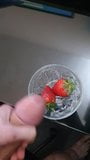 Penghormatan strawberi snapshot 1