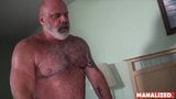 Handled by the Daddy Bear snapshot 12