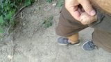 Public masturbation snapshot 1