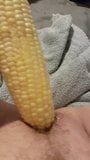 Corn on Cob my favorite food snapshot 1