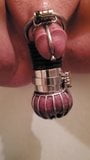 Chastity slave inspected before play snapshot 1