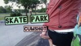 Skate park wank snapshot 1