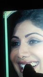 Shilpa shetty close up face cum snapshot 1