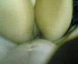 Indian girl Sonali sex snapshot 10