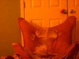 Masturbation in Comfy Chair snapshot 1