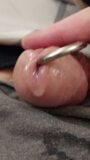 Squeezing my cock with a urethral sounding rod in my dick hole snapshot 1