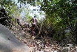 Village Boy Nude In Forest And Play With Tree snapshot 4