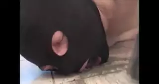 Slave Eats Kitchen Dirt, Free Domination Porn bc | xHamster