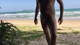 Beach wanking snapshot 1