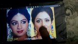 SHRIDEVI cum tribute snapshot 6