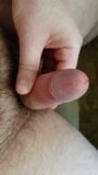 Hairy uncut cock snapshot 2