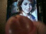 tribute to alyson hannigan snapshot 3