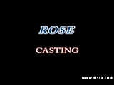 Casting di rosa snapshot 1