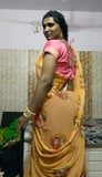 Purvi crossdresser in saree snapshot 1