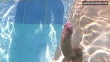 Hardcore-Blowjob unter Wasser Minnie Manga snapshot 6