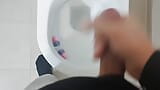 Masturbation en solo dans les toilettes snapshot 4