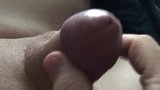 Mini Penis Cum snapshot 7