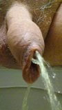 Foreskin piss snapshot 2