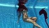 Awek latina bertetek kecil Andreina de Luxe di bawah air snapshot 12