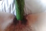 cucumber snapshot 9