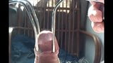 Foreskin sunlight cumshot ! snapshot 16