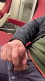 Cumming on myself in the train snapshot 8