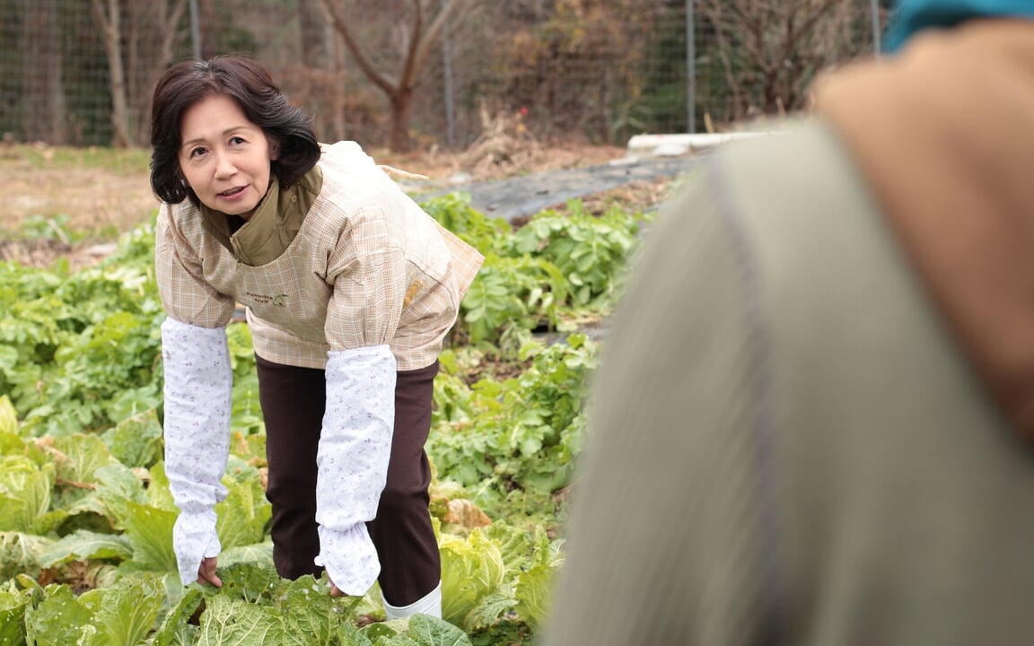 Mbm - too Cute Aunties - 052, Free Threesome HD Porn 58 | xHamster