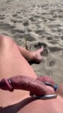 My hard She-Cock at nude beach. snapshot 1