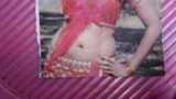 Priya anand sexy thoppul cum hołd ahh snapshot 2