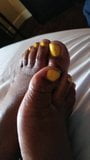 Yellow Ebony Toes snapshot 5