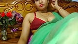 Indian Aunty snapshot 15