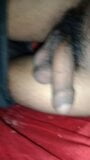 My dick show and flash my dick snapshot 2