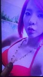 SNSD Sunny cum tribute snapshot 1