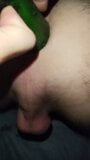 Mistress fucks guy’s ass with a big cucumber snapshot 9