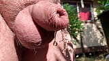 Uncut cock pissing through wet foreskin in the garden snapshot 13