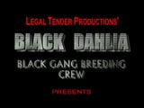 Black Dahlia A1 - Shawna Gets Black Doggied & Knocked-Up snapshot 1