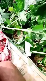 Indian Shop Maid Cheating Sex with Owner at Outdoor Farm: Amateur ...