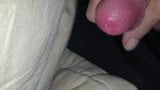 Furry butt plug snapshot 6