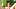 Masturbation unter der sonne im pool – Ggmansion